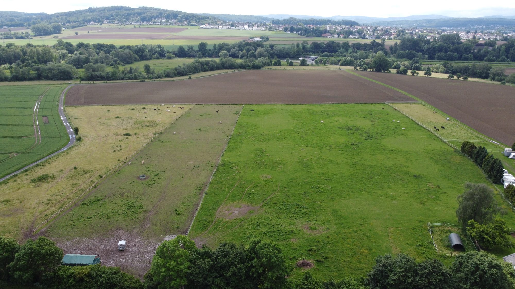 Luftbild der Weiden des Pferdestalls Ruhrwiesen mit grasenden Pferden, dahinter das Ruhrtal bei Fröndenberg