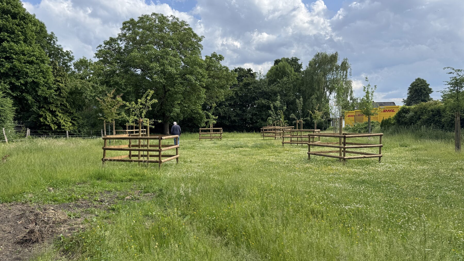 Die Obstwiese mit jungen Obstbäumen, jeweils mit Holzgestell gegen Verbiss geschützt