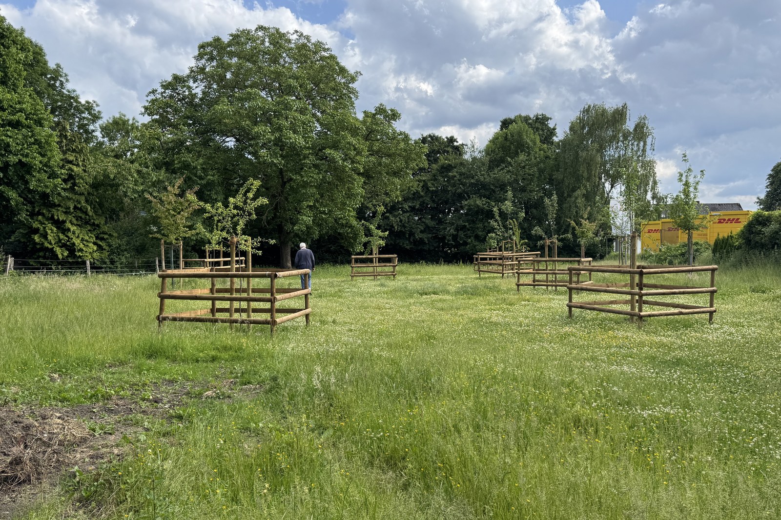 Die neu angelegte Obstwiese mit jungen Obstbäumen in Holzgestellen