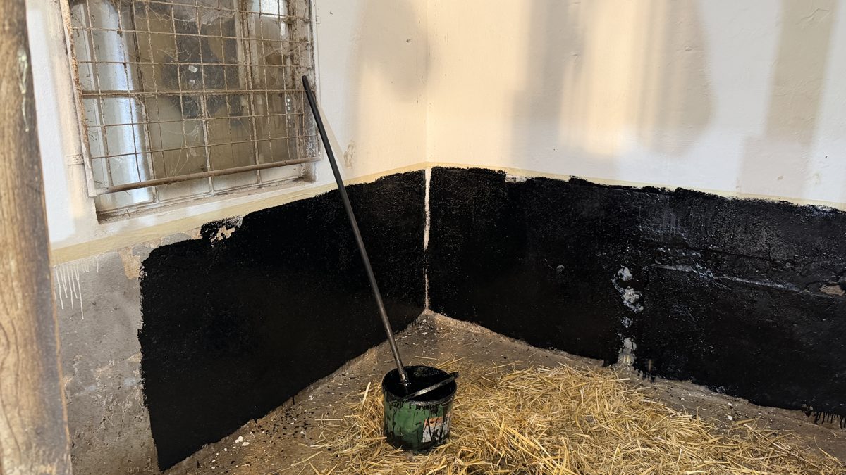Blick in die Stallgasse während der Umbauarbeiten mit frisch gestrichenen Wänden