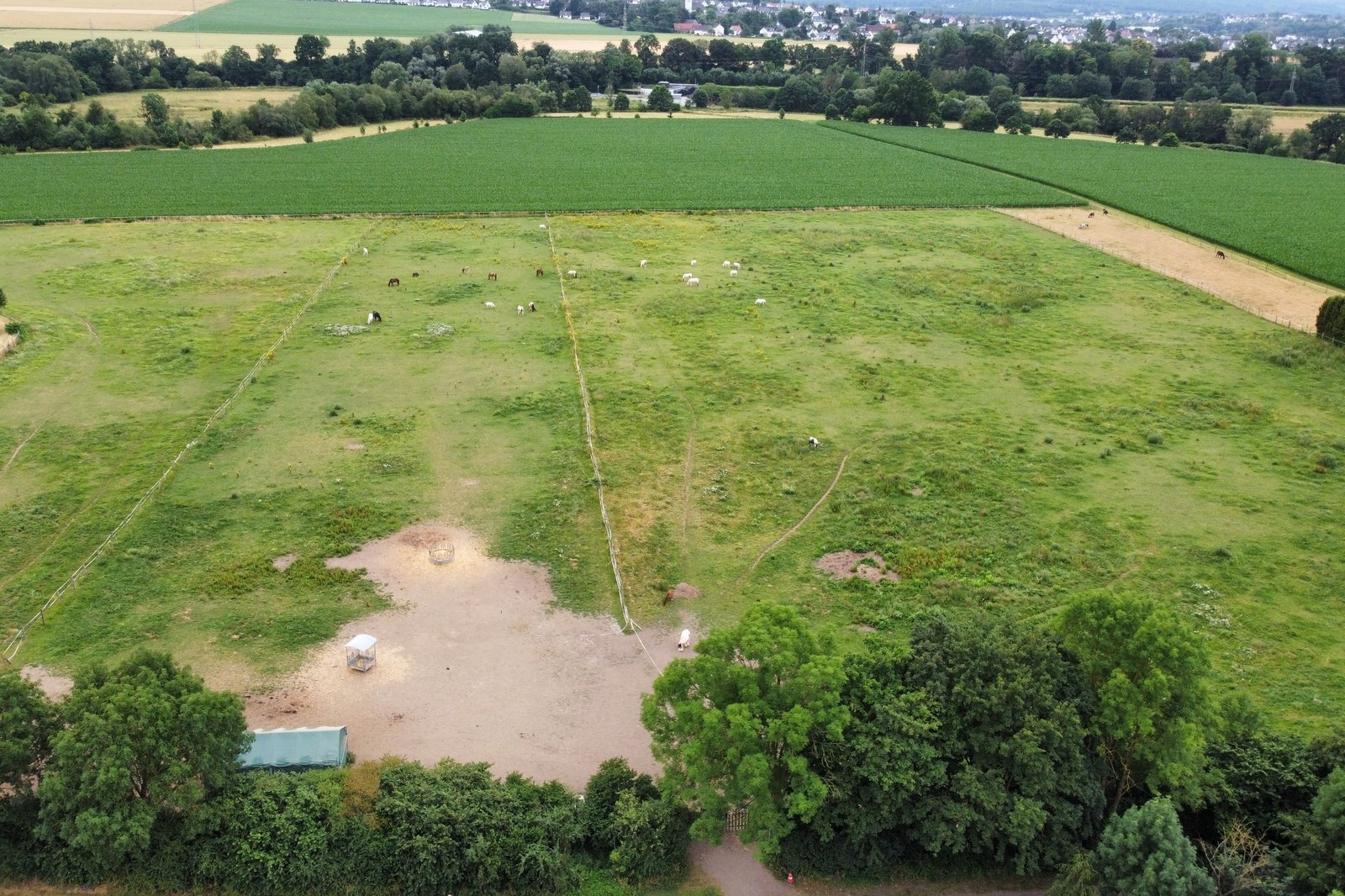 Luftbild der Weideflächen hinter dem Hof mit grasenden Pferden und dem Sandplatz